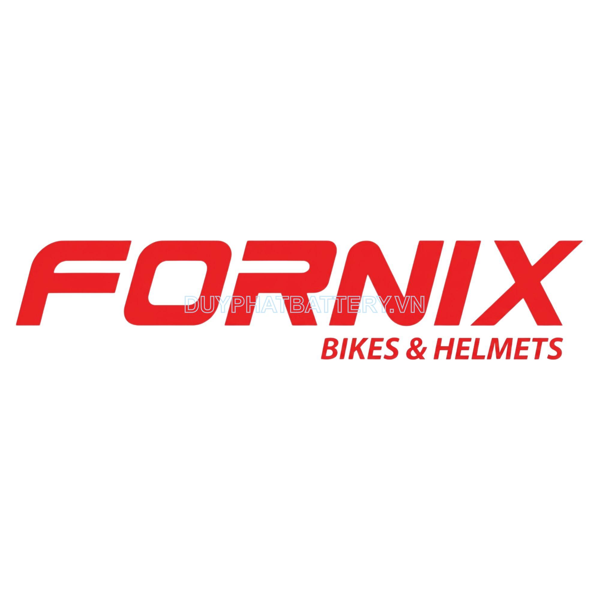 Fornix